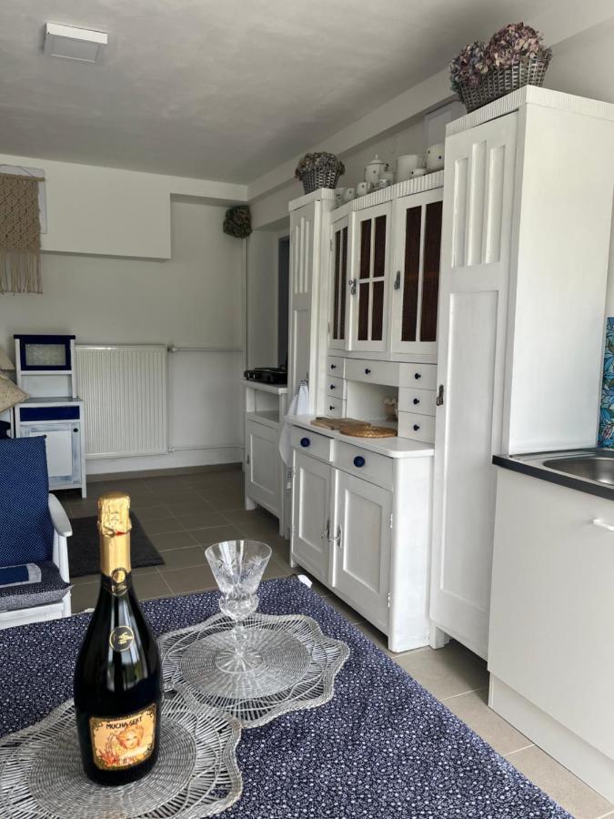 Apartman Michaela Турнов Экстерьер фото